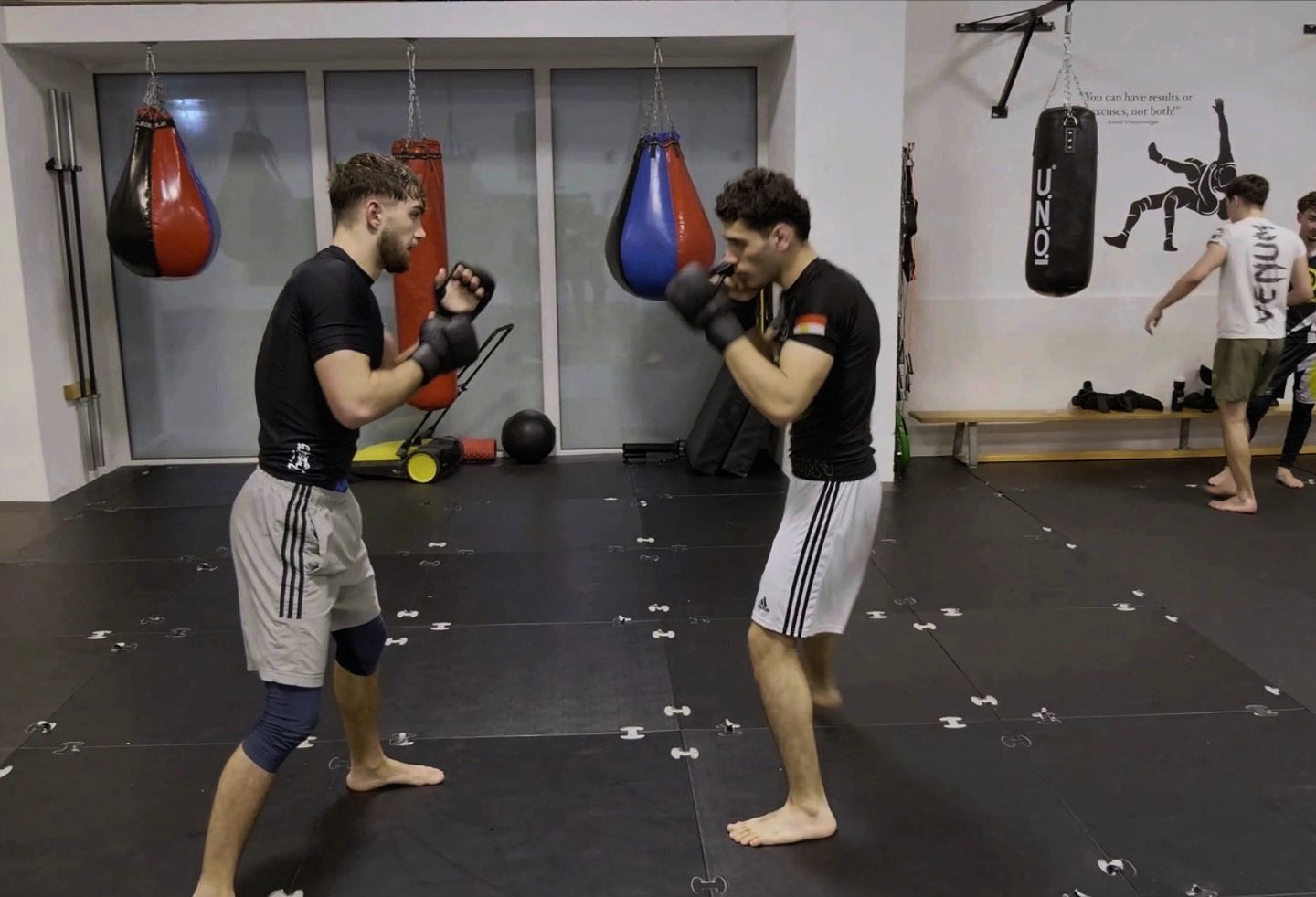 MMA (Mixed Martial Arts)